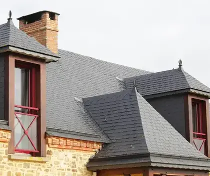 entretien de toiture Renazé-5