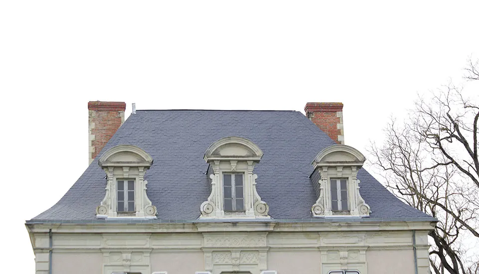 entretien de toiture renaze