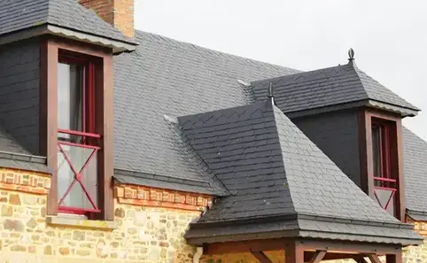 toiture démoussage La Roë-1